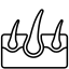 Icono piel